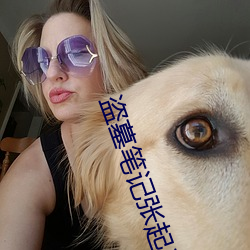 盗墓(墓)笔记张(張)起灵