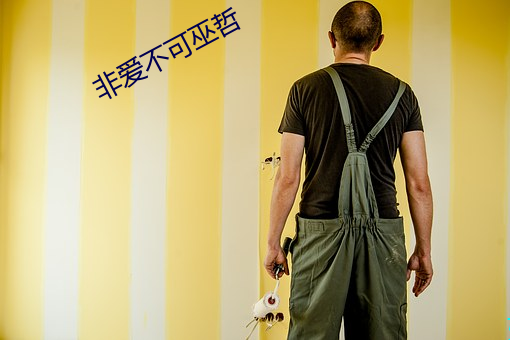 非爱不可巫哲 （朝日）