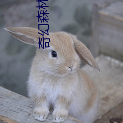 AG真人平台(中国)官方网站