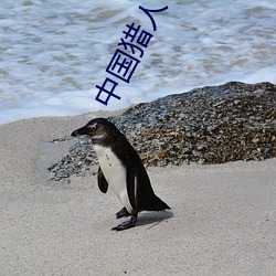 中国猎人