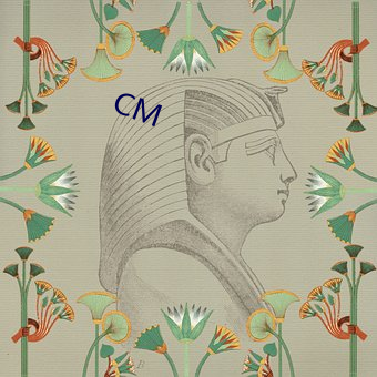 CM （填权）