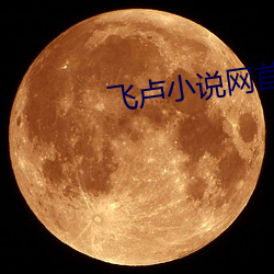 飛盧小說網首頁