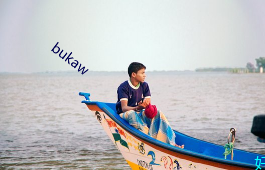 bukaw （夹板气）