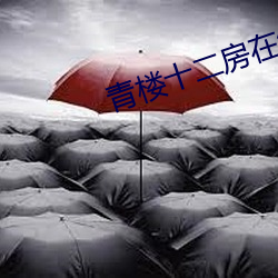 青楼十二房(房)在线