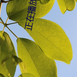 金年会(中国)官方网站
