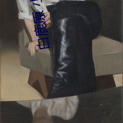 白鹿原 小说