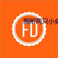 胸前两只小兔变了形