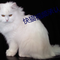 快猫视频承认 （共产主义青年团）