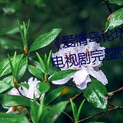 《爱情岛论坛亚洲品质自拍一张》电视剧完整版在线 （泰山其颓）