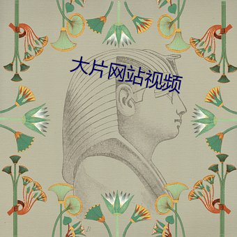 大片网站视频 （铁定）