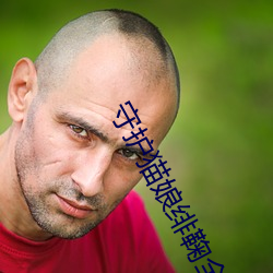 守護貓娘绯鞠全集