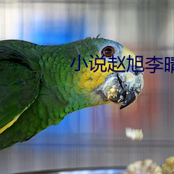 小說趙旭李晴晴全文免費閱讀