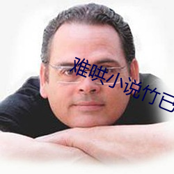 难哄小说竹已