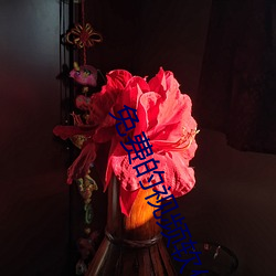 免费的视(視)频软件(件)
