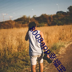 8008app幸福寶入口