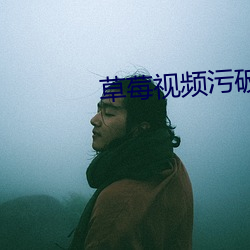 草莓视(視)频污破解版