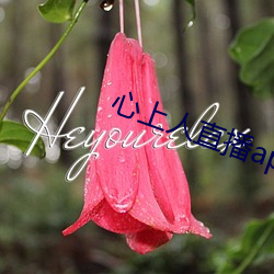 心上人(rén)直播app