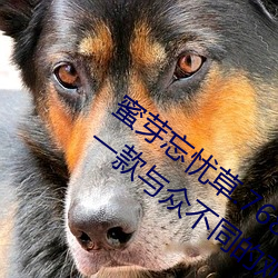 蜜(蜜)芽忘(忘)忧草.768.mon老(老)狼二区(區)大(大)豆(豆)行(行)情:一款与众(衆)不(不)同的观(觀)影(影)