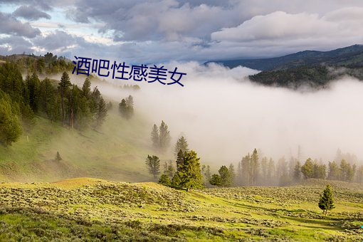 酒吧性感美女 边寨）
