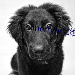cherrytv二维码(mǎ)