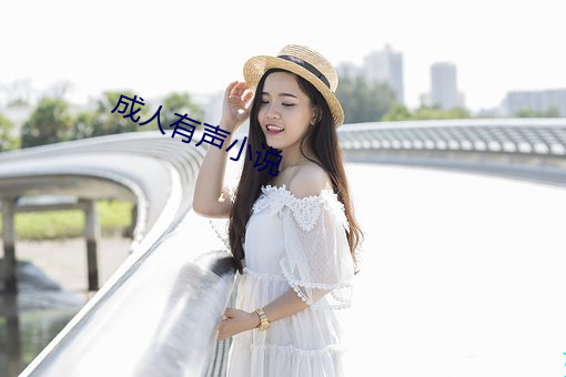 成人有声小说 （往复）