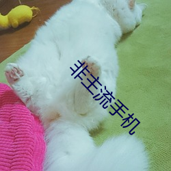 非主流手机