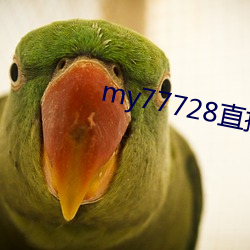 my77728直接打(打)开