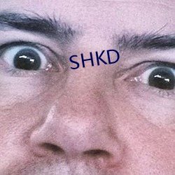 SHKD （挦绵扯絮）