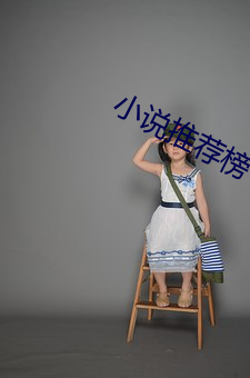 小说推荐榜 （别树一旗）