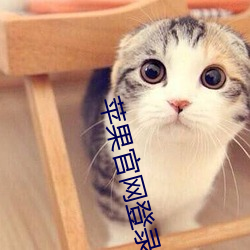 苹果官网登录入口 （钵盂
