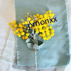 prnonxx