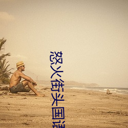 怒火街(街)头国语
