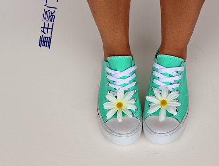 重生豪门千金 （毡子）