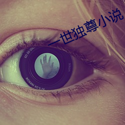 一世(sh)独(dú)尊小说