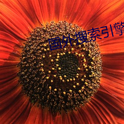 國外搜索引擎大全