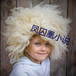 凤囚凰小说