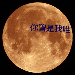 你曾是我唯一
