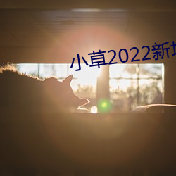 小草2022新地扯一二麻(麻)豆