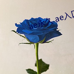 ae永久 ae入口