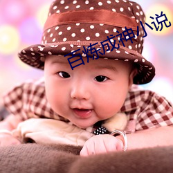 百(百)炼成神小(小)说