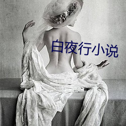 白夜行小说 （矫情）