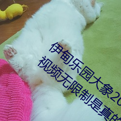 伊甸乐园大象2022入口app免费版 v2.4看视频无限制是真的吗