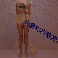 夫妻熬夜看麦片 （网络警察）