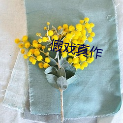 假戏真作