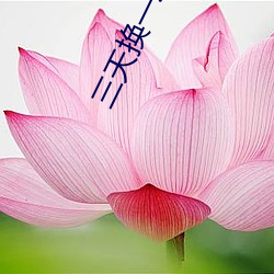 三(三)天换一(一)次域(域)名3秒自动(動)跳转