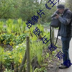 战争片《王(王)多鱼打扑(撲)克的(的)全程视频》免(免)费完(完)整版(版)在(在)线观看(看)