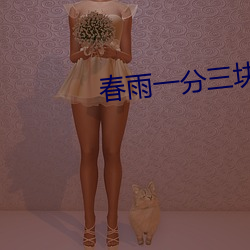 春雨一分三塊