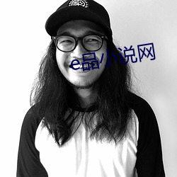 e品小说网