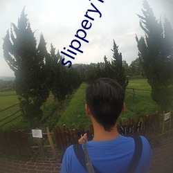 slipperyT