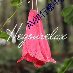 AV排行榜(榜)中榜